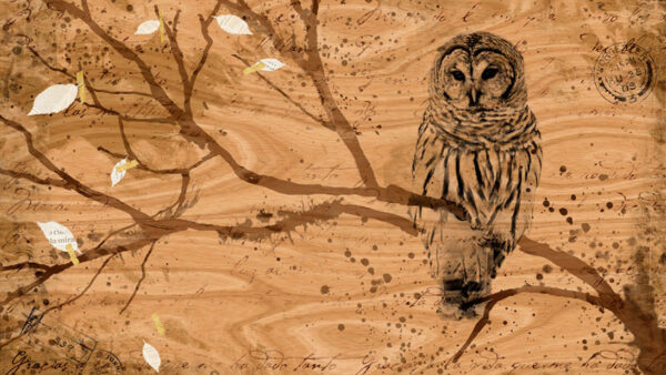 [Arte] Los animales en el arte