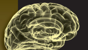 [Libros] El cerebro adicto