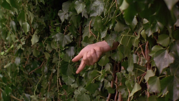 [Película] El jardín secreto