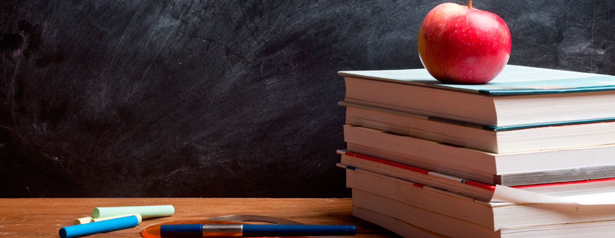 Profesores necesitan feedback