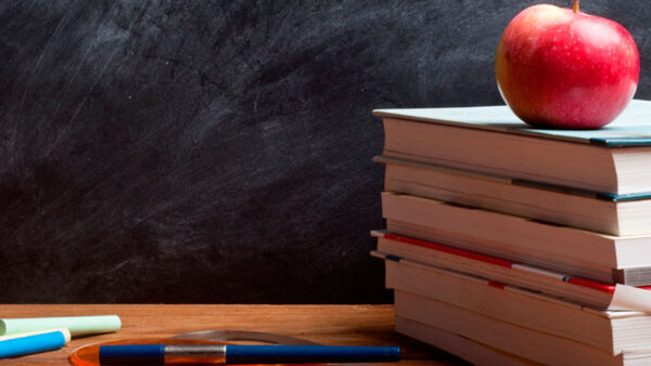 Profesores necesitan feedback