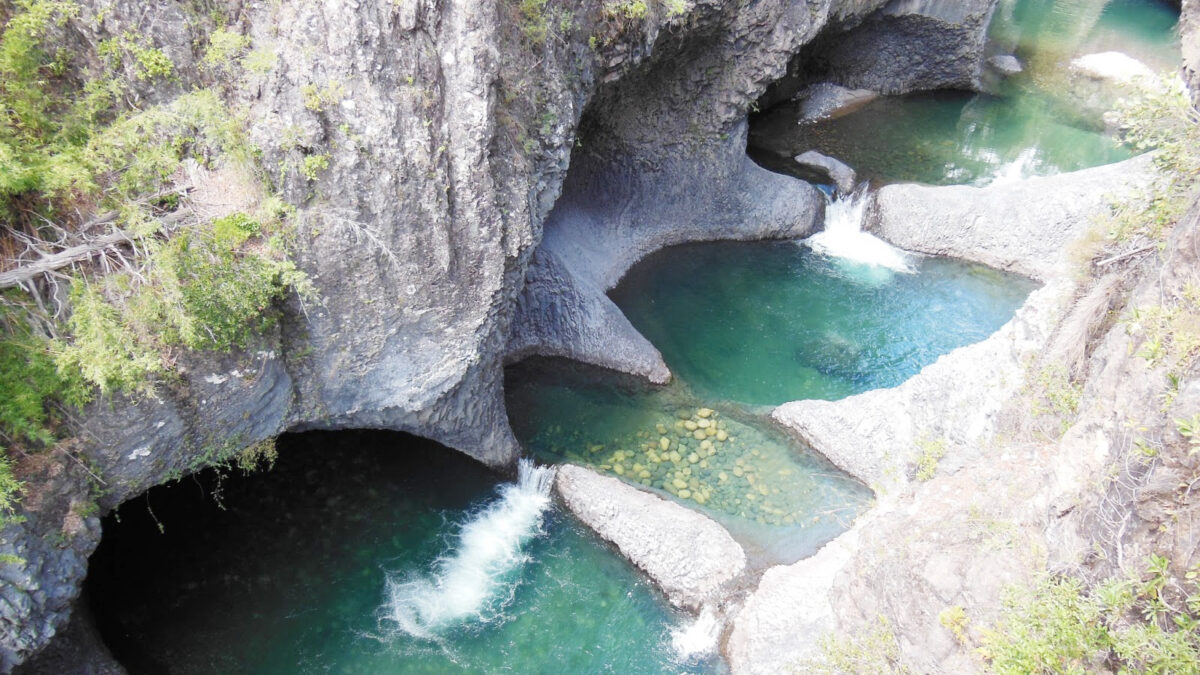 Época de parques y naturaleza