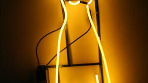 La construcción del ropaje por medio de la luz  Pedro Lira - Ken Little.