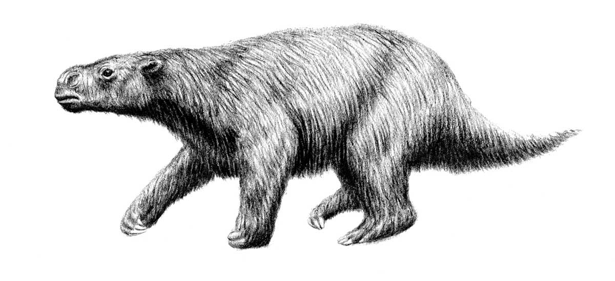 milodon1