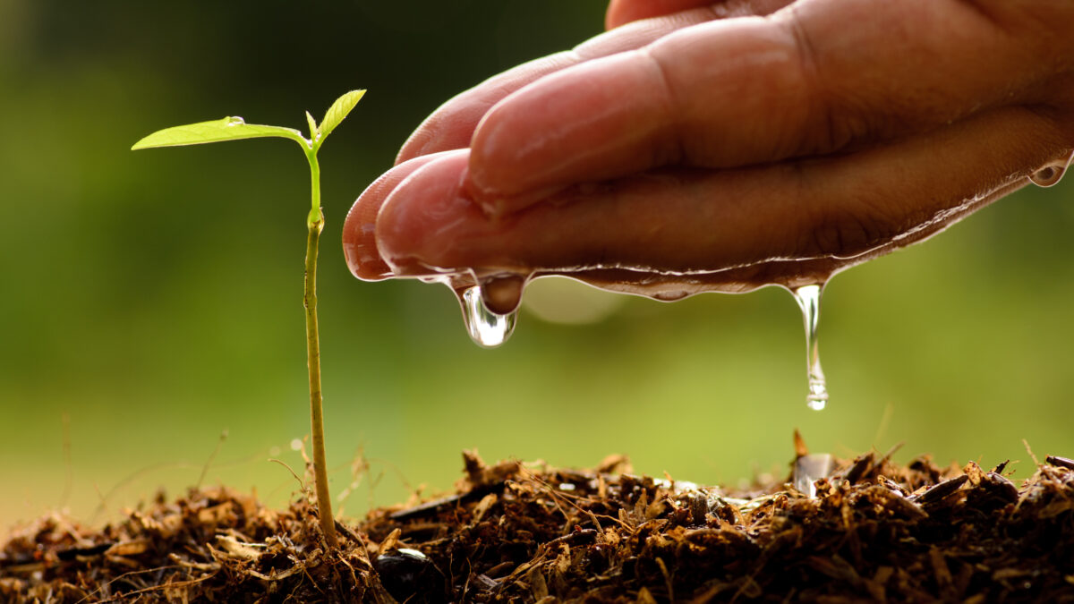 Cambio de paradigma: De la ecología a la sustentabilidad