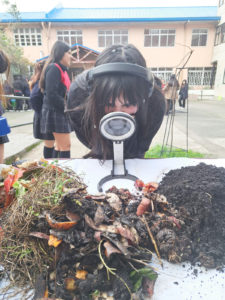 Una comunidad educativa que transforma su entorno desde la ecología integral
