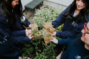 Una comunidad educativa que transforma su entorno desde la ecología integral