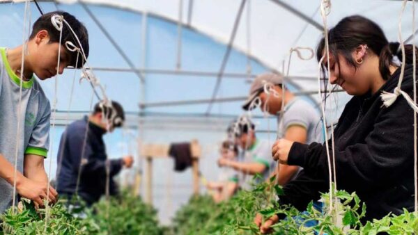 Innovar en el agro desde la escuela