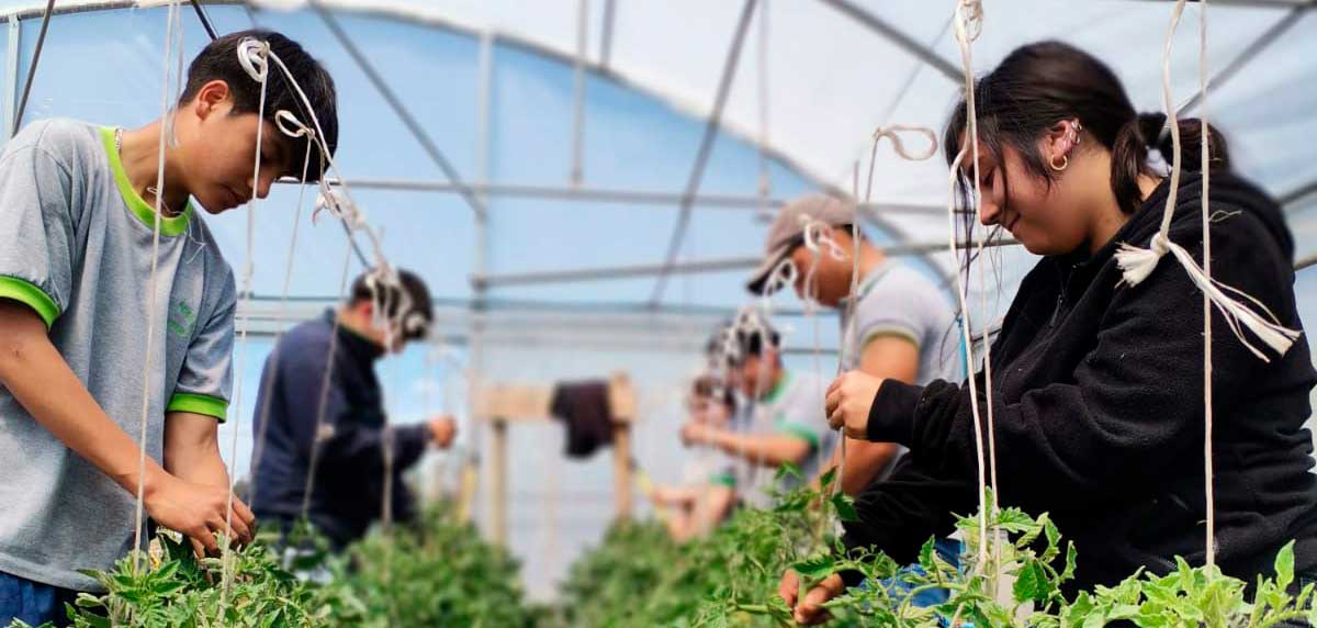 Innovar en el agro desde la escuela