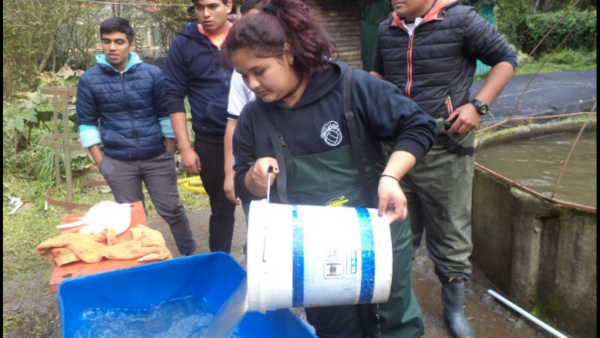 Exitosa experiencia de alumnos de Liceo Pencopolitano en Piscicultura Pangue