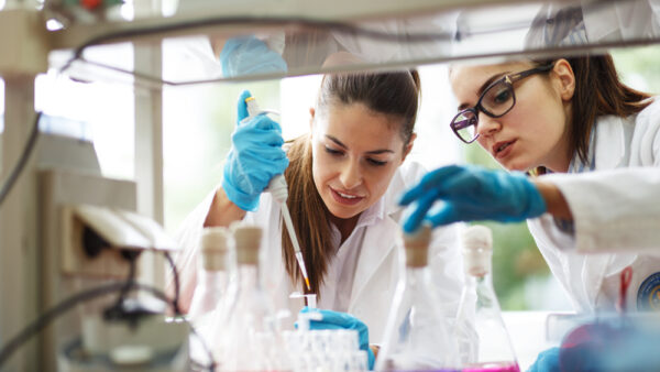 A días de la PSU: Mira las carreras con menor tasa de desempleo en USA