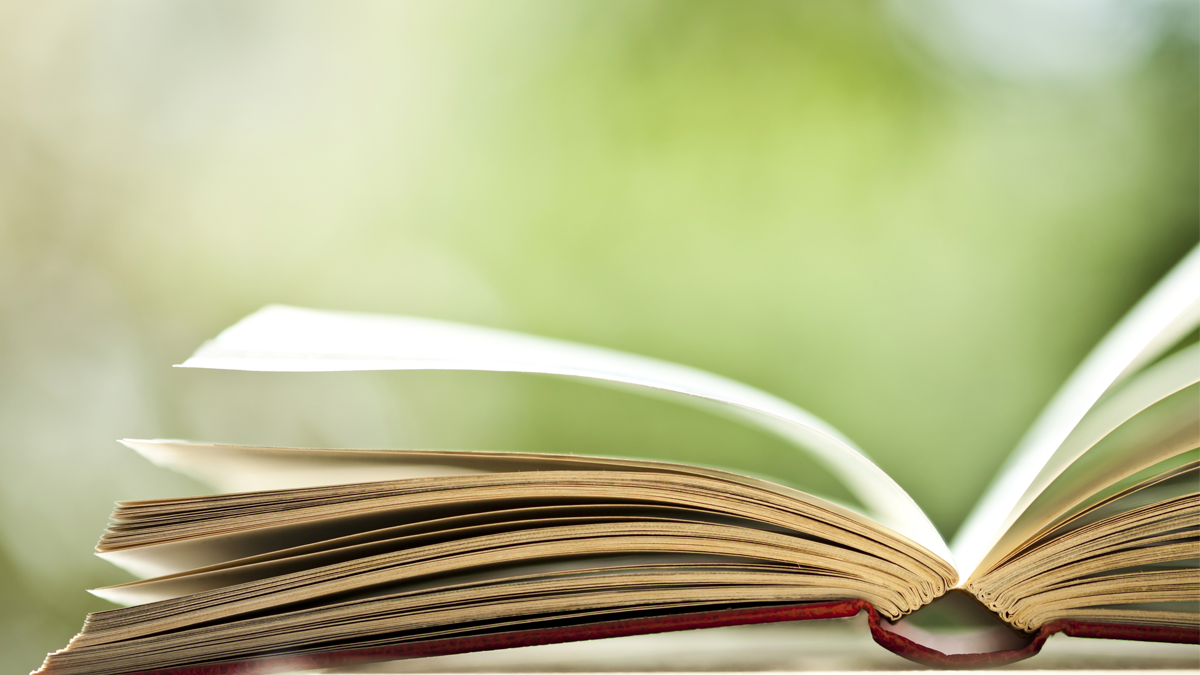 Aprender a través de la lectura