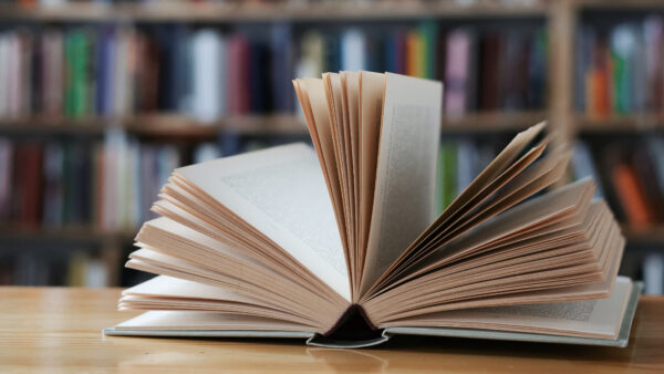 Aprender a través de la lectura