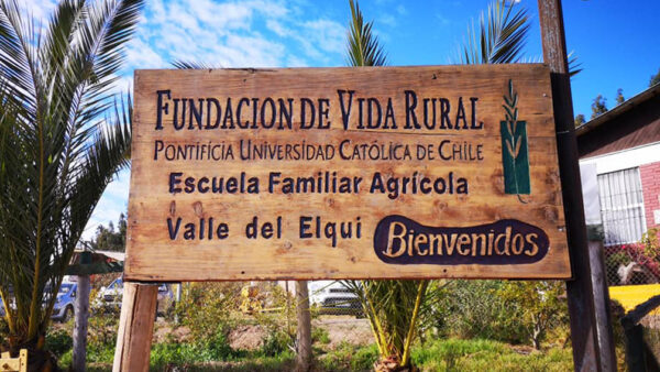 Educar en conexión  con el entorno