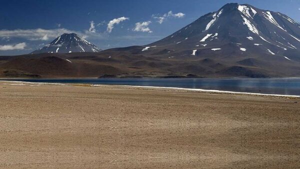 La naturaleza  en primer plano
