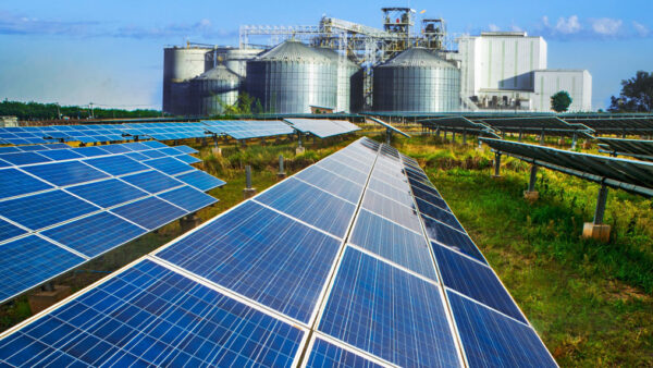 Se requieren técnicos especializados en hidrógeno verde y energías renovables: las profesiones que impulsan la transición energética