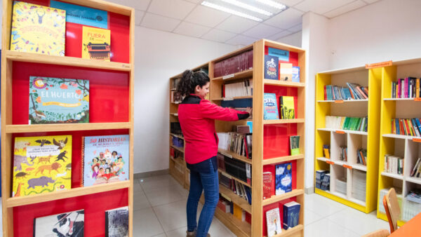 Ponerse al día con la lectoescritura