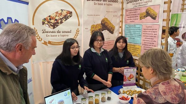 Revisa los mejores emprendimientos escolares de la feria de SNA Educa