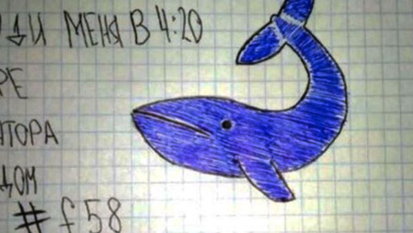 Atentos profesores con el macabro juego de “La Ballena Azul”