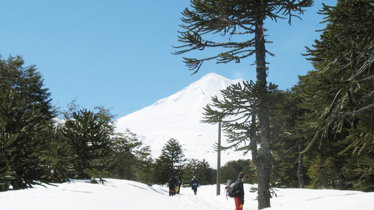 Cómo y dónde disfrutar la nieve este invierno