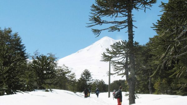 Cómo y dónde disfrutar la nieve este invierno
