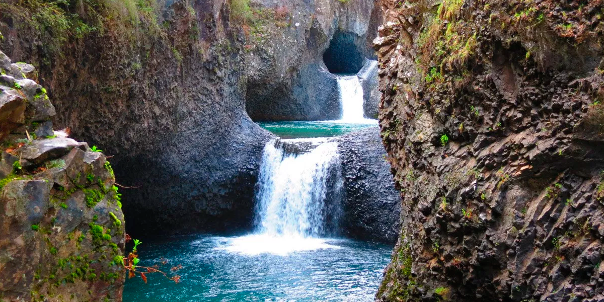 Época de parques y naturaleza
