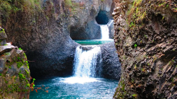 Época de parques y naturaleza