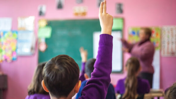 Descubre cómo contribuir al desarrollo cognitivo de los alumnos