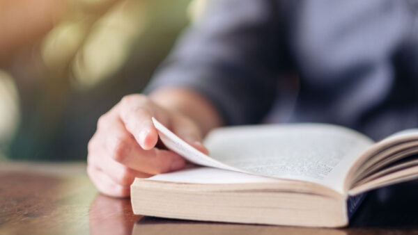 Nuestros profesores recomiendan