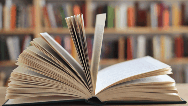 Aprender a través de la lectura