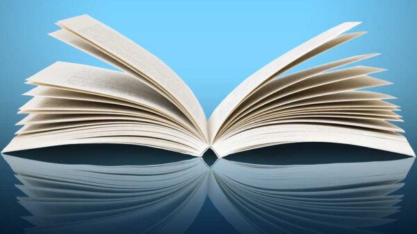 Aprender a través de la lectura