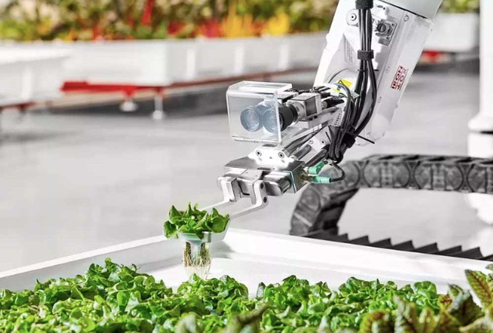Tecnología para el agro: la creatividad e imaginación se hacen realidad