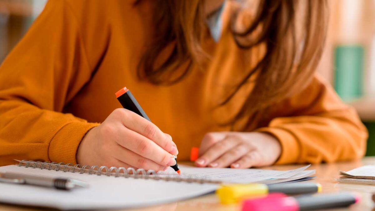 ¿Apuntes o videos, cómo debieren estudiar los alumnos hoy?
