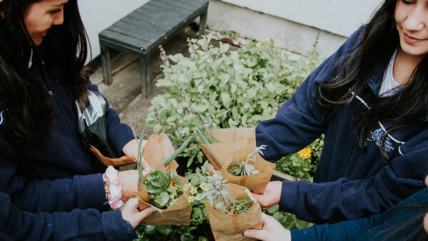 Una comunidad educativa que transforma su entorno desde la ecología integral