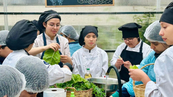 Formar para el futuro: la conciencia medioambiental y la sostenibilidad como claves en la educación TP