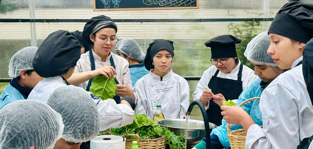 Formar para el futuro: la conciencia medioambiental y la sostenibilidad como claves en la educación TP