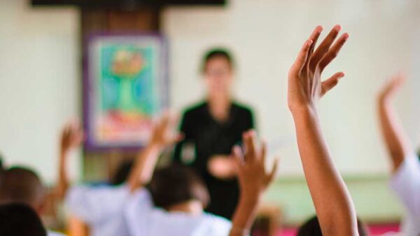 El revival de la pedagogía