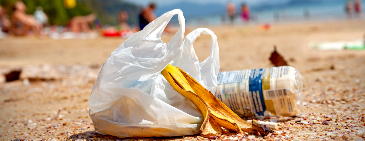 Alumnos y docentes se convierten en Científicos de la Basura