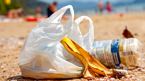 Alumnos y docentes se convierten en Científicos de la Basura