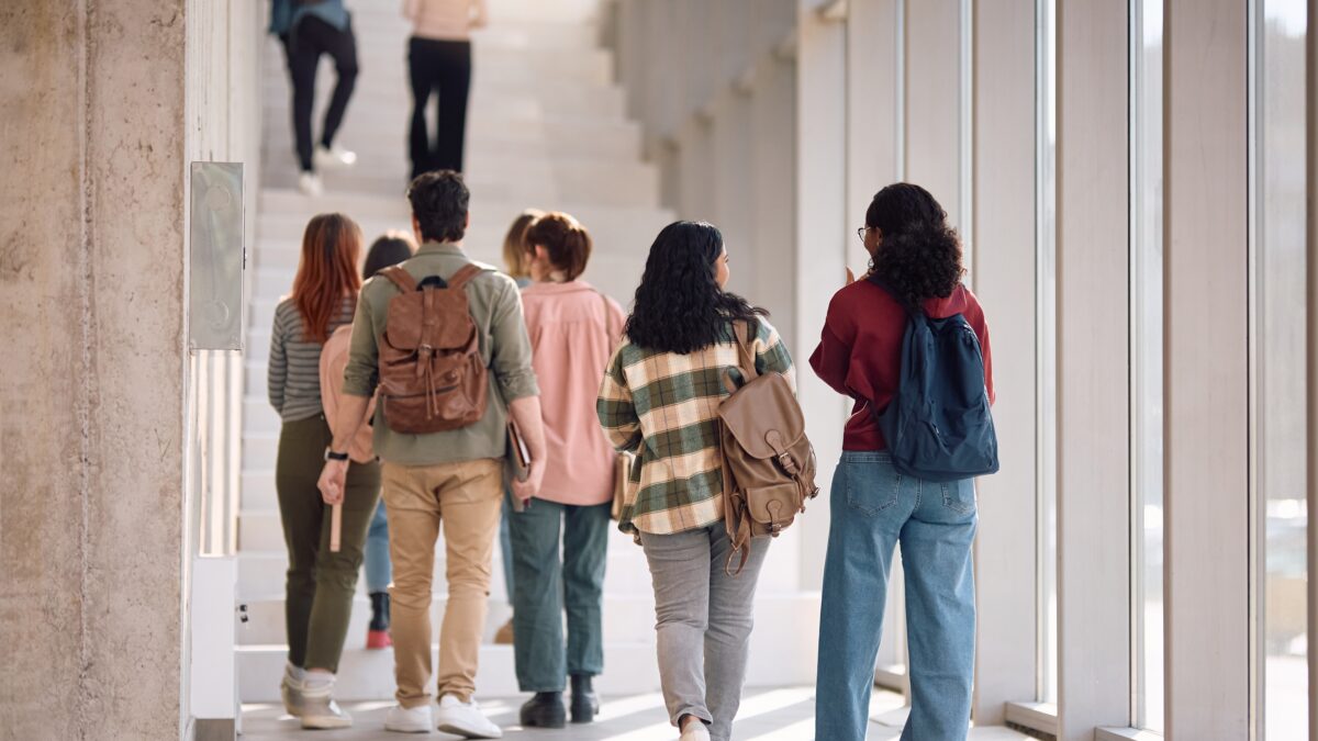 Institutos Profesionales y CFT: Concentran casi la mitad de la matrícula y carreras duran 8 semestres
