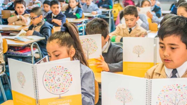 “La lectura profunda y efectiva es el medio para adquirir conocimientos y conocer el mundo”