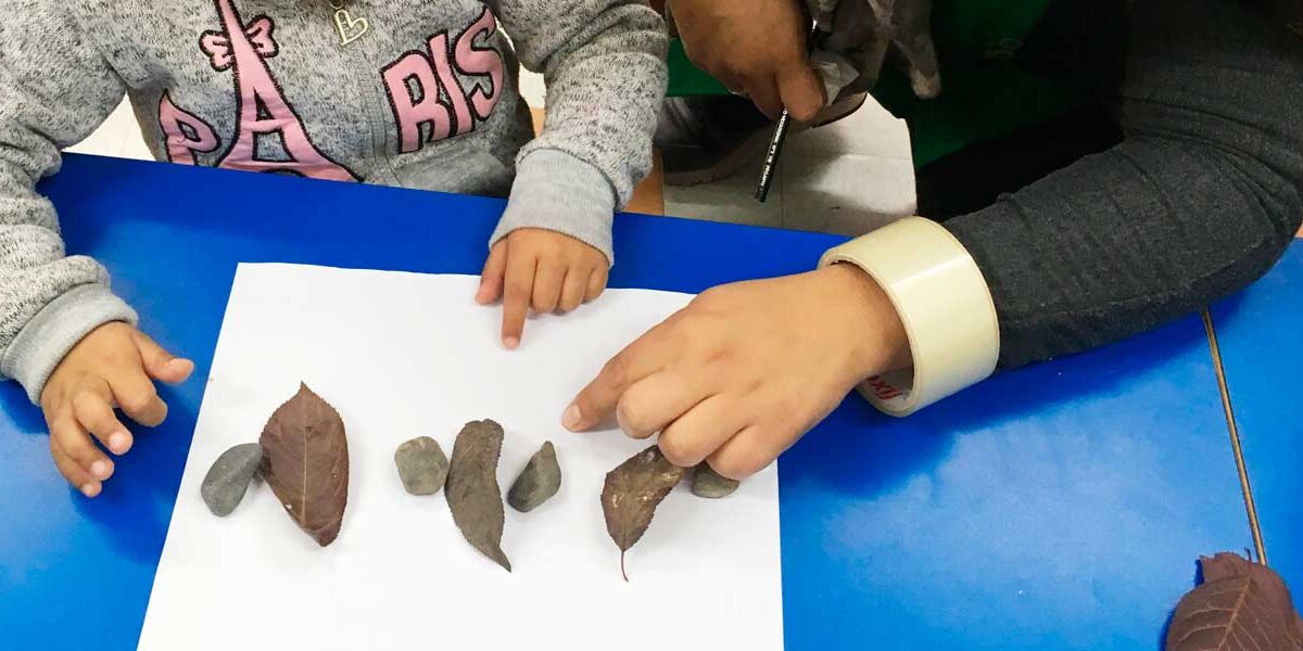 Enseñar a cada alumnos en particular