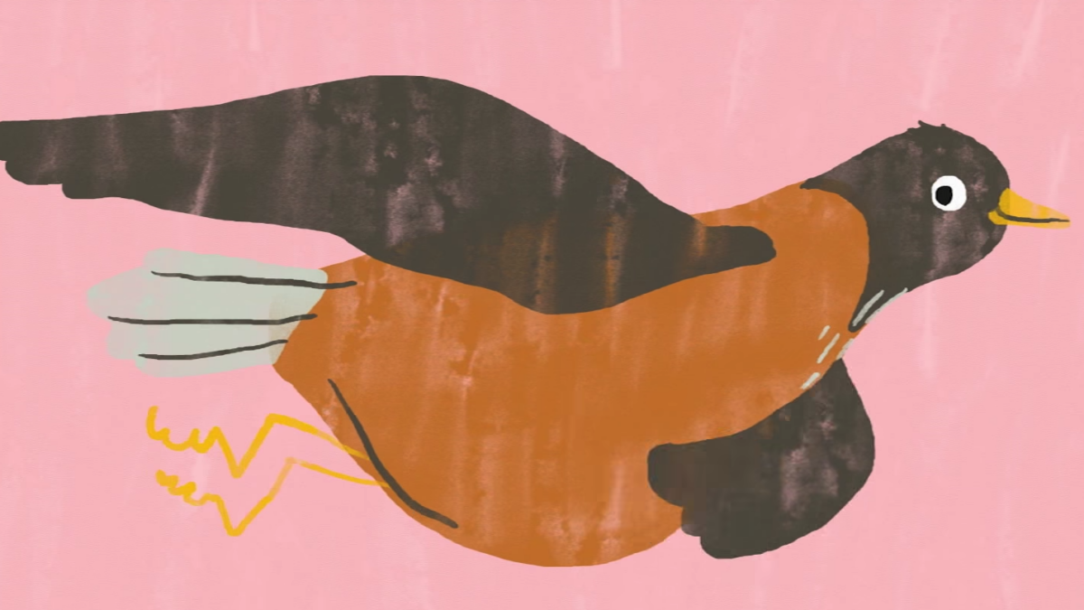 La migración de aves, un viaje peligroso- Alyssa Klavans